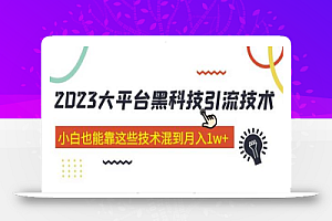 价值4899的大平台黑科技引流技术 小白也能靠这些技术混到月入1w+29节课(2022年的课程)