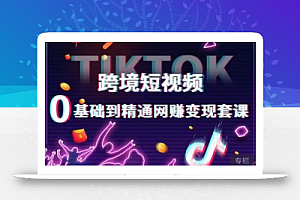 跨境短视频TIKTOK 0基础到精通网赚变现套课,跨境短视频独立站带货变现技巧