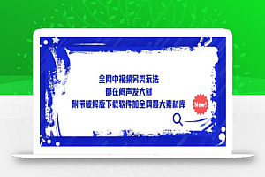 全网中视频另类玩法,都在闷声发大财,附带下载软件加全网最大素材库