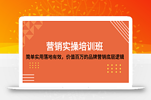 营销实操培训班：简单实用-落地有效，价值百万的品牌营销底层逻辑