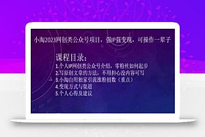 小淘2023网创类公众号项目,强IP强变现,可操作一辈子