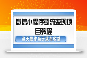 微信小程序引流变现项目教程,当天操作当天就有收益,变现不再是难事