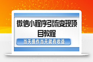 微信小程序引流变现项目教程，当天操作当天就有收益，变现不再是难事