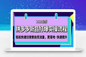 互力-多多新品打爆全流程,拼多多14天拉搜索自然流量,更落地·快速提升