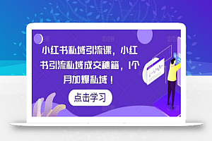 小红书私域引流课,小红书引流私域成交秘籍,1个月加爆私域!