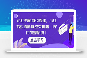 小红书私域引流课，小红书引流私域成交秘籍，1个月加爆私域！