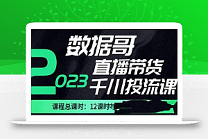 数据哥2023直播电商巨量千川付费投流实操课,快速掌握直播带货运营投放策略