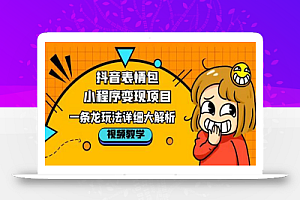 抖音表情包小程序变现项目,一条龙玩法详细大解析,视频版学习!