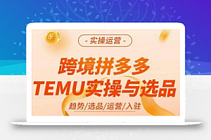 跨境拼多多TEMU实操与选品,掌握平台运营方法技巧,选品避坑12条标准,爆款的底层思路等