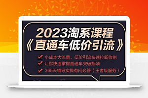 2023直通车低价引流玩法课程,小成本大流量,低价引流快速拉新收割,让你快速掌握直通车突破瓶颈