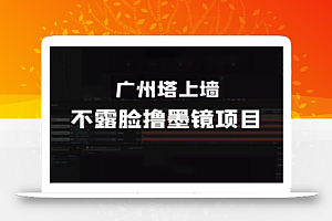 抖音无人直播广州塔上墙,不露脸撸墨镜项目(素材+教程+插件)