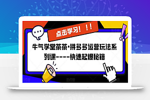 牛气学堂茶茶•拼多多运营玩法系列课—-快速起爆秘籍