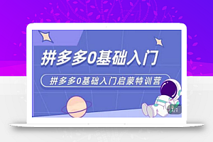 六一电商·拼多多运营0-1实操特训营,拼多多从基础到进阶的可实操玩法