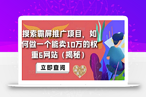 搜索霸屏推广项目,如何做一个能卖10万的权重6网站(揭秘)