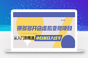 拼多多开店虚拟变现项目:入门到精通 从小白到日入1000(完整版)4月10更新