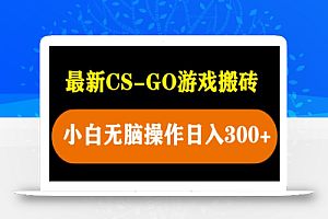 最新csgo游戏搬砖游戏,无需挂机小白无脑也能日入300+