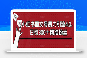 小红书图文号暴力引流4.0,日引300+精准粉丝【揭秘】