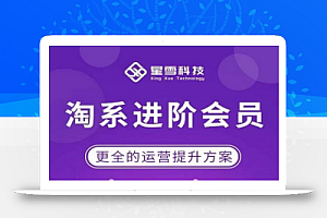 星雪·淘系进阶课程,快速提升突破技能流量瓶颈必备(更新2023年5月)