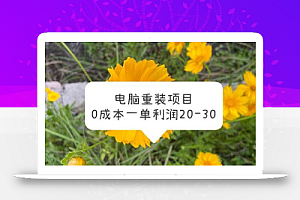 电脑系统重装项目,0成本一单利润20-30