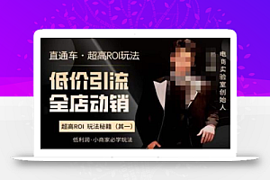 电商冰可乐·直通车·《低价引流·全店动销》,直通车·超高ROI玩法(其一)全店动销必学玩法