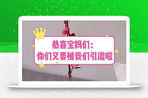 恭喜宝妈们:你们又要被我们引流了(教程+222g资料)