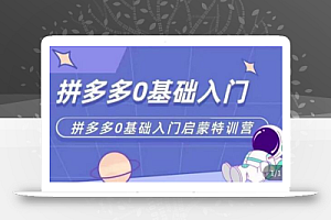 拼多多运营0-1实操特训营,拼多多0基础入门,从基础到进阶的可实操玩法