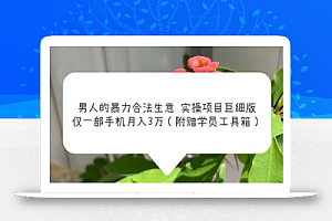 男人的暴力合法生意实操项目巨细版:仅一部手机月入3w(附赠学员工具箱)