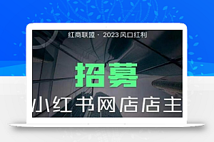 红商联盟·小红书无货源电商1.0,0粉丝无需囤货,小白也可以轻松上手的无货源项目