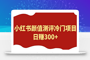 外面1980的项目,小红书颜值测评冷门项目,日赚300+【揭秘】