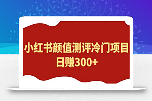 外面1980的项目，小红书颜值测评冷门项目，日赚300+【揭秘】