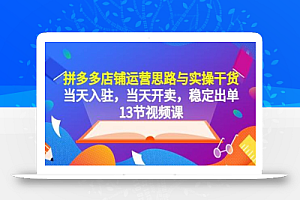 拼多多店铺运营思路与实操干货,当天入驻,当天开卖,稳定出单(13节课)