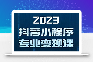 2023年抖音小程序变现保姆级教程,0粉丝新号,无需实名,3天起号,第1条视频就有收入