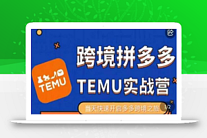 大鹏出海·拼多多跨境temu运营指导,开店注册+选品+核价上架,日出千单实战课