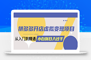 拼多多开店虚拟变现项目:入门到精通 从小白到日入1000(完整版)6月13更新