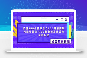 价值980小红书日入300突破限制无限私信日+100创业粉项目适合所有行业