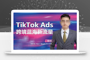 稳哥·如何投出高ROI的TikTok广告，开拓独立站卖家流量新蓝海