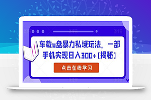 车载u盘暴力私域玩法,一部手机实现日入300+