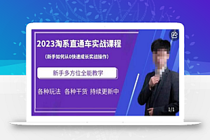2023淘系直通车保姆式运营讲解,新手如何从0快速成长实战操作,新手多方位全能教学