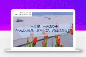 一单15,一天300+,小商品大智慧,高考风口,选品该怎么布局