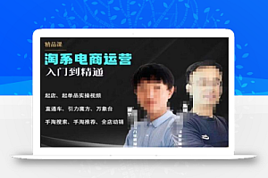 2023手淘搜索实操课+体系化课程,起店起单品实操视频课程