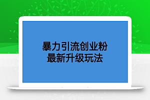 价值1980一千个野路子暴力引流最新升级玩法