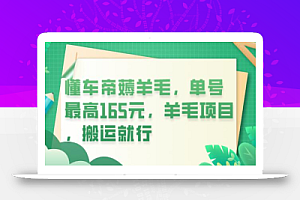 懂车帝薅羊毛,单号最高165元,羊毛项目,搬运就行