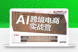 白龙老师·AI跨境电商实战营:从0-1精通Al的真正有效电商玩法,卖家如何利用Al快速超车