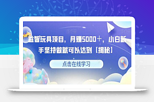 益智玩具项目,月赚5000+,小白新手坚持做就可以达到