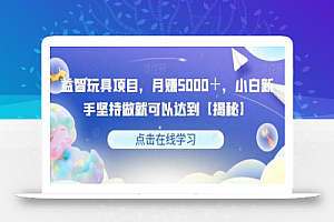 益智玩具项目，月赚5000＋，小白新手坚持做就可以达到