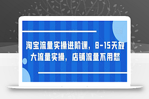 淘宝流量实操进阶课,8-15天放大流量实操,店铺流量不用愁