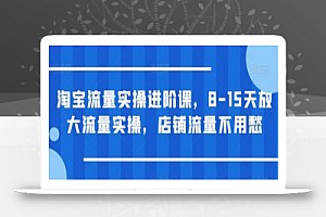 淘宝流量实操进阶课，8-15天放大流量实操，店铺流量不用愁