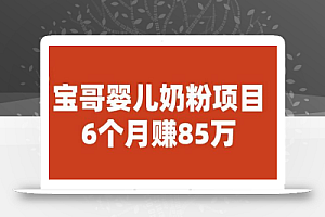 宝哥婴儿奶粉项目,6个月赚85w【图文非视频】