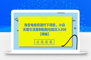 淘宝电商资源代下项目,小白无需引流复制粘贴也能日入300+