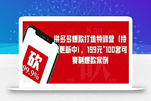 拼多多爆款打造特训营(持续更新中),199元*100套可复制爆款案例